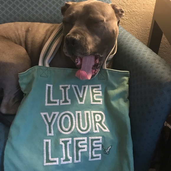 MONTYUNDERDOGS - Picture 4 of 5